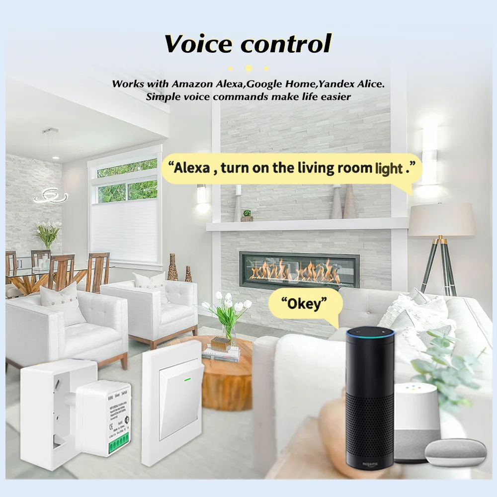 For Tuya Mini Smart WiFi Switc - đánh giá và giá Smart Home Assistant